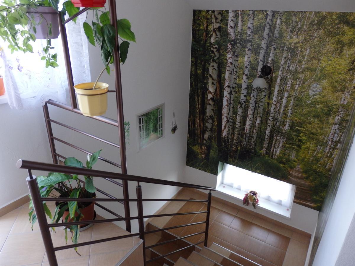 Pivnicka Pod Cachtickym Hradom Hotel จอคทิเคอ ภายนอก รูปภาพ